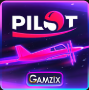 Pilot -